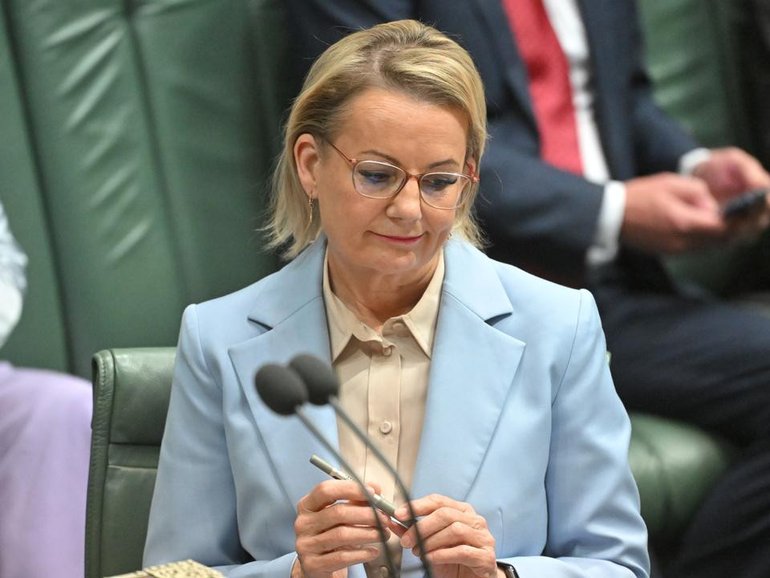 Sussan Ley hasn't shown any clear strategy as Liberal leader, John Hewson says. (Mick Tsikas/AAP PHOTOS)