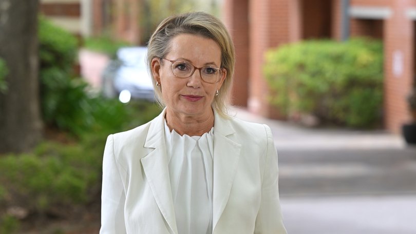 Opposition Leader Sussan Ley has been forced to defend her party after a Liberal Senator conceded she’s losing support.