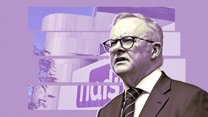 Anthony Albanese’s government are being warned about Labor’s funding model for the ‘Thriving Kids’ initiative.