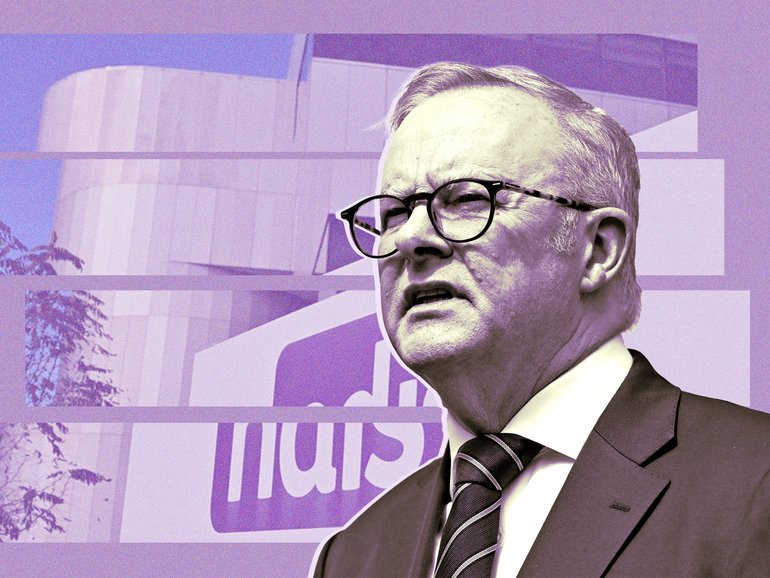 Anthony Albanese’s government are being warned about Labor’s funding model for the ‘Thriving Kids’ initiative.