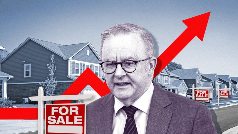 The Albanese government ingored the Treasury’s warning.