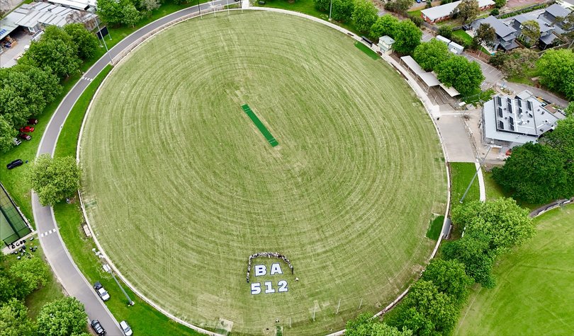 A bird’s-eye view of the painted tribute.