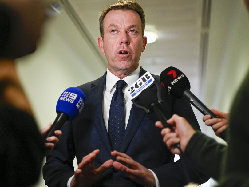 Dan Tehan has been tasked by Sussan Ley to lead a review into the Liberal Party’s position Picture: NewsWire / Martin Ollman