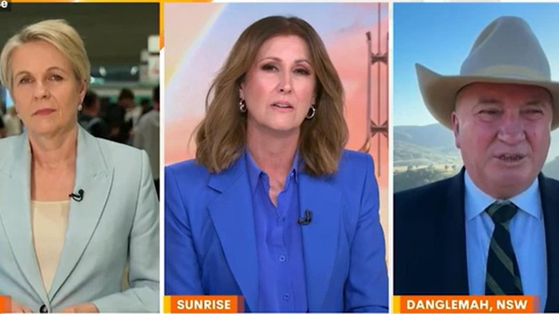 Barnaby Joyce has likened Labor’s energy policy to Band-Aid on an amputated leg’. Sunrise