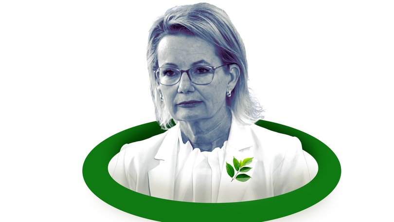  Sussan Ley must make a stand and dump the Liberal commitment to net zero.