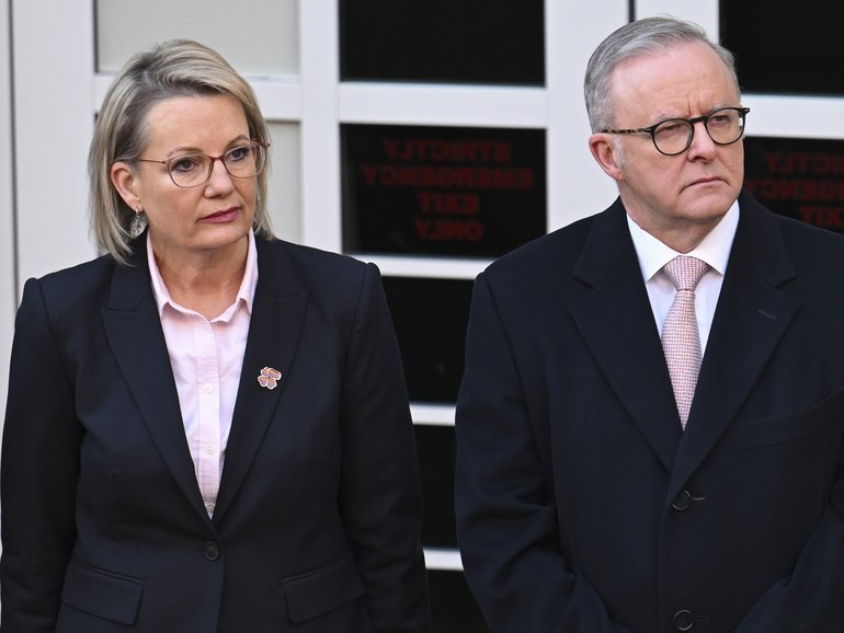 Prime Minister Anthony Albanese and Leader of the Opposition Sussan Ley have sent messages ahead of Remembrance Day.