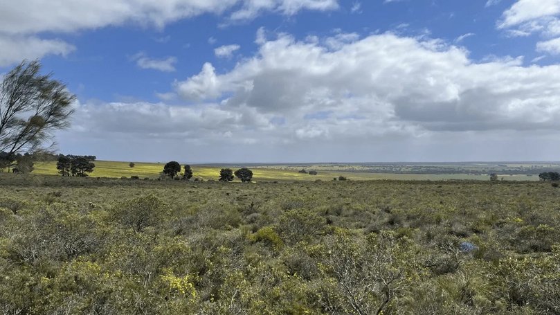 Site of the Waddi Wind Farm