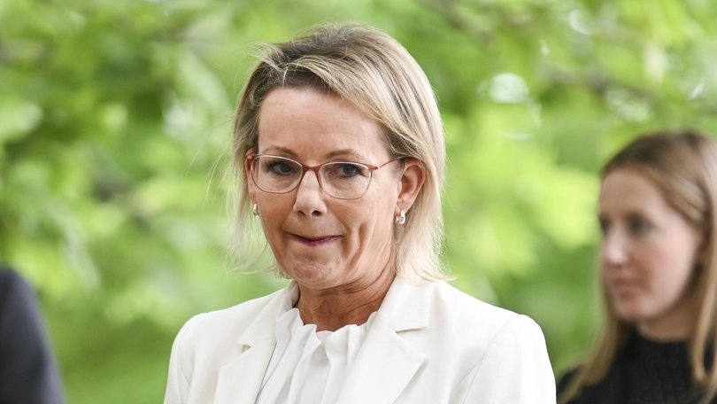 Sussan Ley’s leadership is under mounting pressure. Picture: NewsWire / Martin Ollman