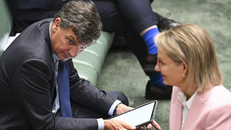 Angus Taylor lost the Liberal leadership ballot to Sussan Ley after the Coalition's landslide election defeat. Picture: NewsWire / Martin Ollman