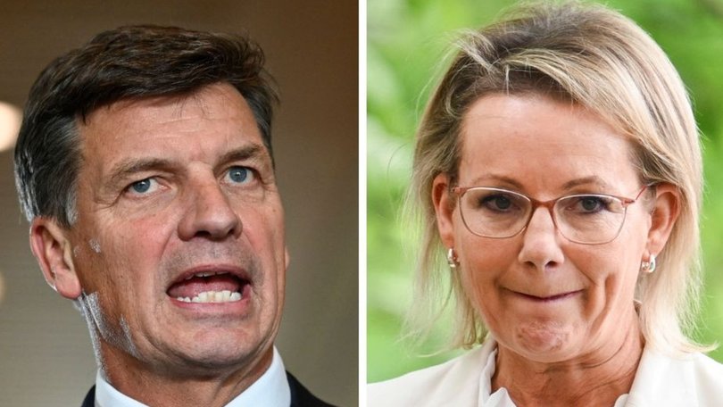 Angus Taylor has shut down speculation he will challenge Sussan Ley’s leadership.
