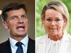 Angus Taylor has shut down speculation he will challenge Sussan Ley’s leadership.