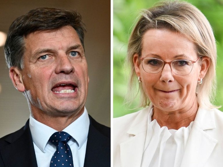 Angus Taylor has shut down speculation he will challenge Sussan Ley’s leadership.