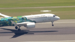 Shock moment as Princess Anne landed in Brisbane .