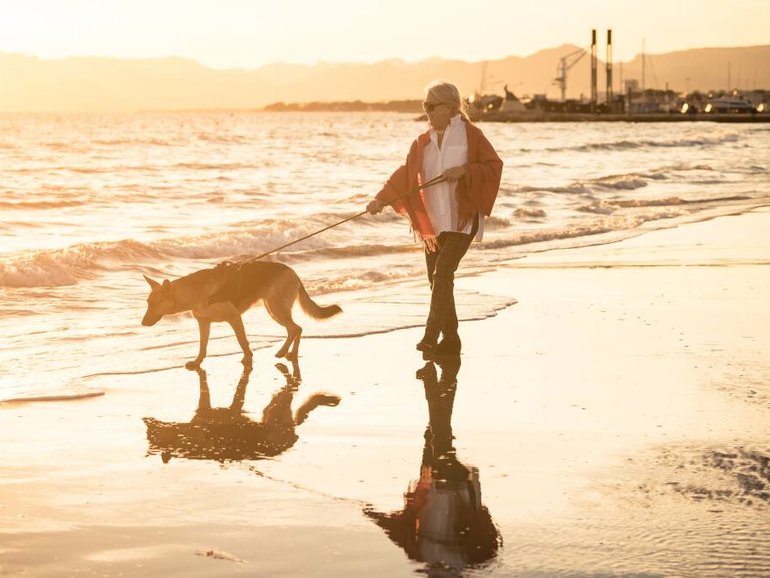 House sitting gives the experience on living like a local in a new location. Pic: Shutterstock