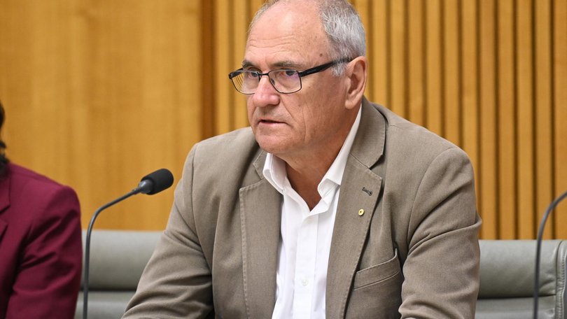 Former Treasury secretary Ken Henry said neither the current laws nor the Albanese government’s proposed reforms would close a 25-year loophole. Picture: NewsWire / Martin Ollman