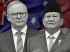 Anthony Albanese has committed to strengthen defence and economic ties with Indonesia, warmly welcoming President Prabowo Subianto to Australia. 