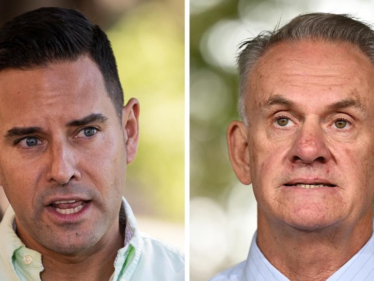 MPs Alex Greenwich and Mark Latham are arguing in court over a defamation payout for a vulgar tweet.
