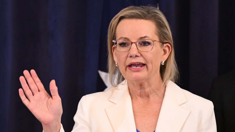 Opposition Leader Sussan Ley claims the Prime Minister Anthony Albanese ‘lied to Australians’.