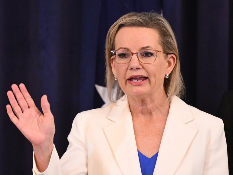 Opposition Leader Sussan Ley claims the Prime Minister Anthony Albanese ‘lied to Australians’.