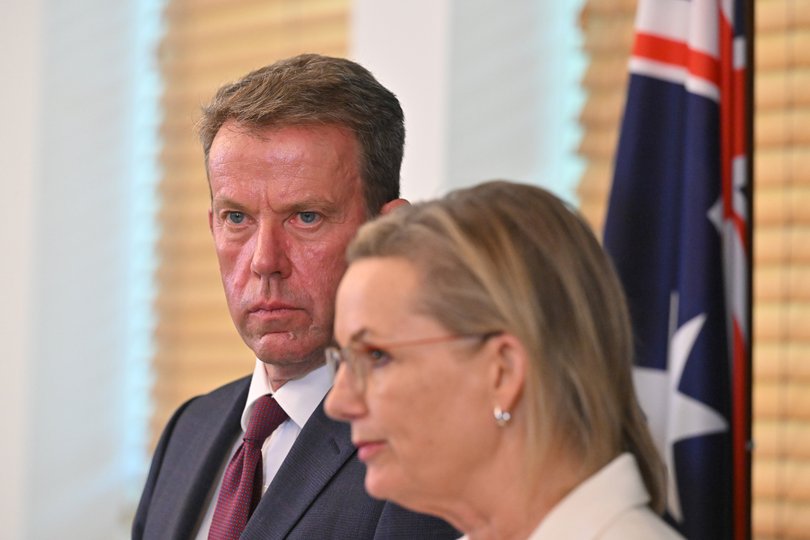 Shadow Minister for Energy Dan Tehan and Leader of the Opposition Sussan Ley at a press conference at Parliament House in Canberra, Thursday, November 13, 2025. (AAP Image/Mick Tsikas) NO ARCHIVING