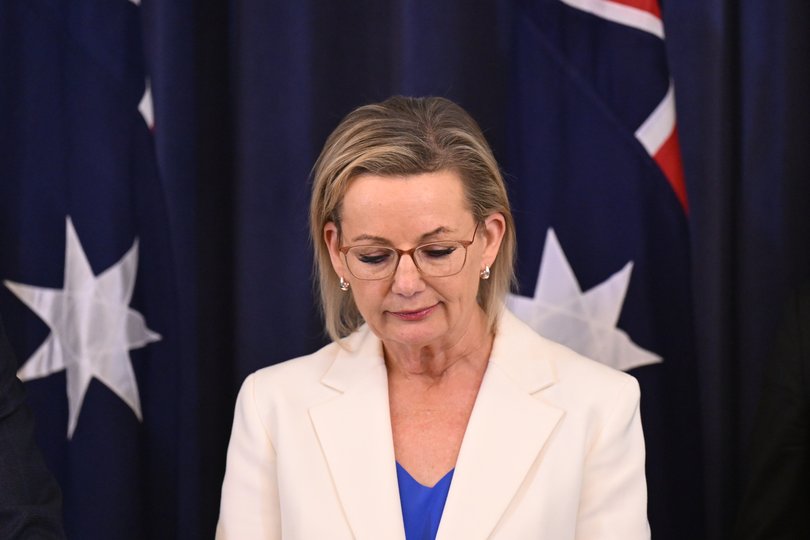Australian Opposition Leader Sussan Ley speaks to the media during a during a press conference at Parliament House.