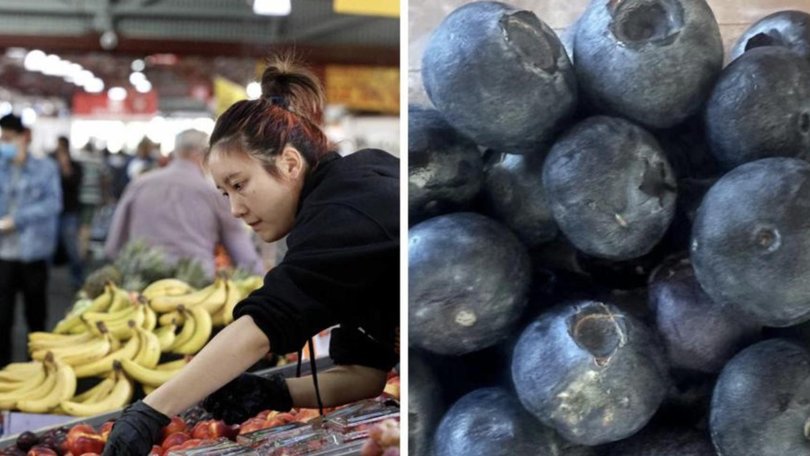 The regulator will allow growers to continue using dimethoate if they wait 14-days before harvesting blueberries, raspberries and blackberries to reduce harmful effects from the chemical.