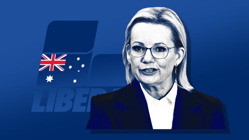 Liberals leader Sussan Ley.