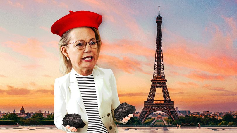 After six tumultuous months as leader, Sussan Ley just fundamentally changed Australian politics. Here’s what it means, writes Aaron Patrick.