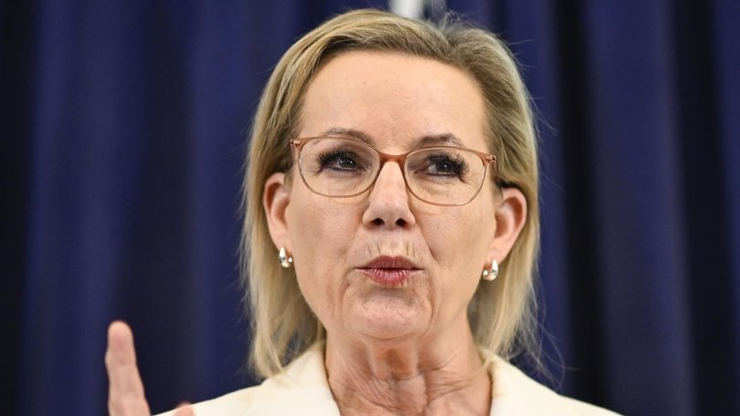 Leader of the Opposition Sussan Ley NewsWire / Martin Ollman