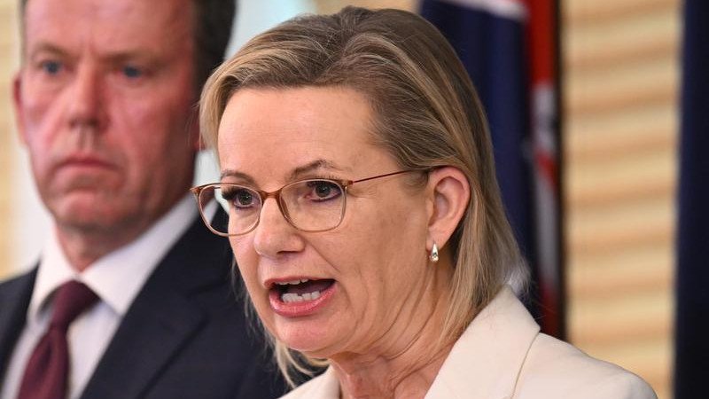 Opposition Leader Sussan Ley says a different approach to emissions reduction is needed. (Lukas Coch/AAP PHOTOS)
