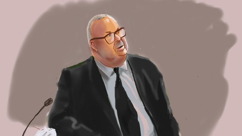Brett Button, the bus driver behind the wheel when a wedding bus crashed killing 10 people and injuring 25 more in NSW’s popular Hunter Valley gave evidence in court. Court Sketch: NewsWire/ Rocco Fazzari