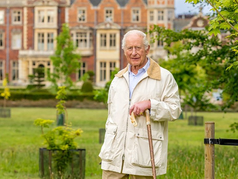 King Charles released a portrait as part of his birthday celebrations.