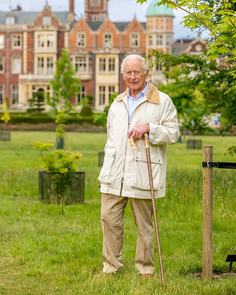 King Charles released a portrait as part of his birthday celebrations.