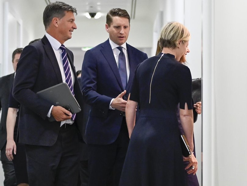 Liberal MPs Angus Taylor and Andrew Hastie are the frontrunners in a leadership challenge to Ms Ley.