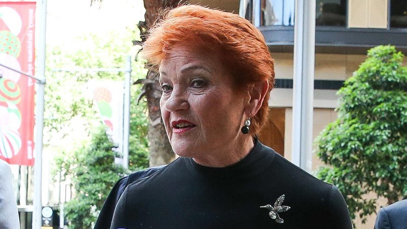 Pauline Hanson arrives at Federal Court, to appeal after Greens senator Mehreen Faruqi sued her under the Racial Discrimination Act. Photo: NewsWire/ Gaye Gerard