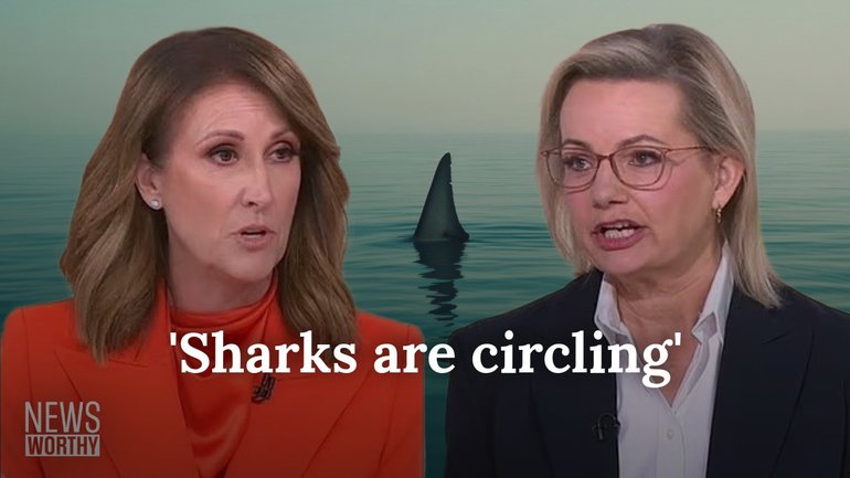 NEWS WORTHY: ‘Sharks circling’ for Sussan Ley & cops seize drugs and shotgun ahead of schoolies event