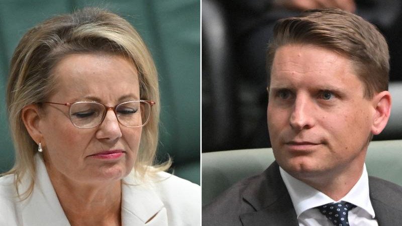 Liberal leader Sussan Ley is the latest in a long line of party leaders suffering at the hand of climate and energy policy.