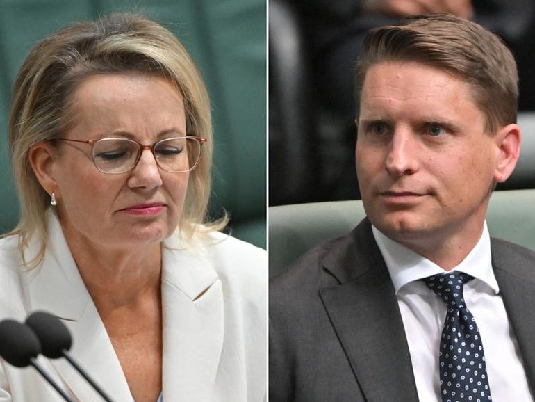 Liberal leader Sussan Ley is the latest in a long line of party leaders suffering at the hand of climate and energy policy. 