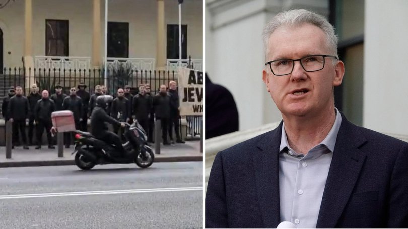 A South African man who took part in a neo-Nazi anti-Jewish rally outside NSW Parliament House is now in immigration detention.