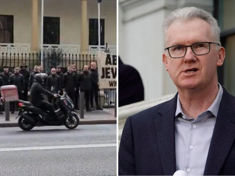 A South African man who took part in a neo-Nazi anti-Jewish rally outside NSW Parliament House is now in immigration detention.