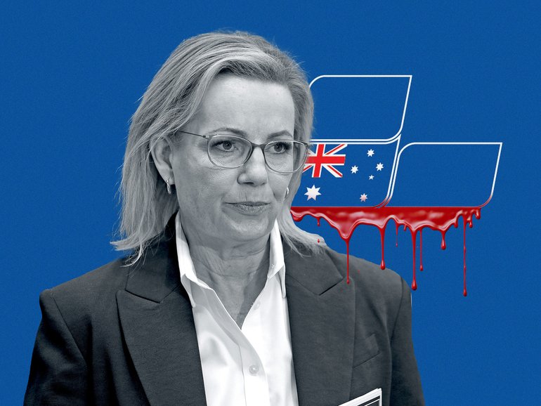 Leader of the Opposition Sussan Ley is under pressure to hold her spot.