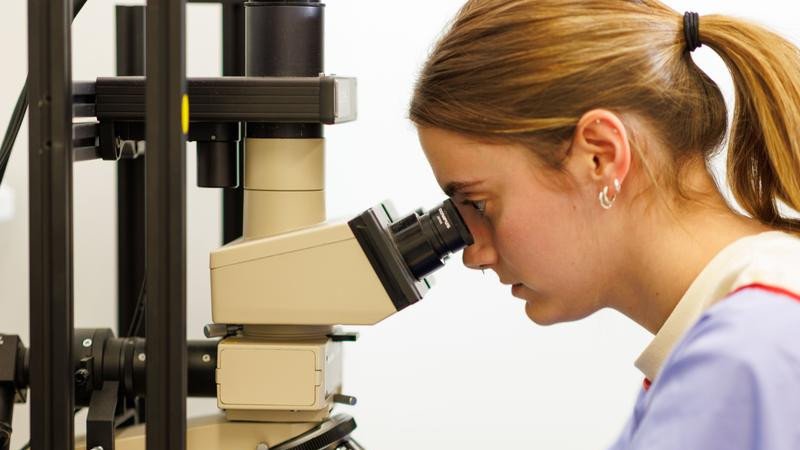 Australia's top science agency is to shed hundreds of jobs and narrow its range of research work.