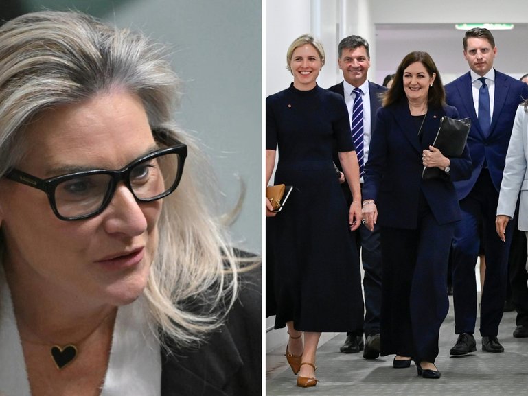 A former Liberal senator has taken an extraordinary swipe at her colleagues after quitting the party, prompting a fiery response.