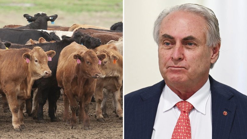 Trade Minister Don Farrell is optimistic he can secure a trade deal with the EU.