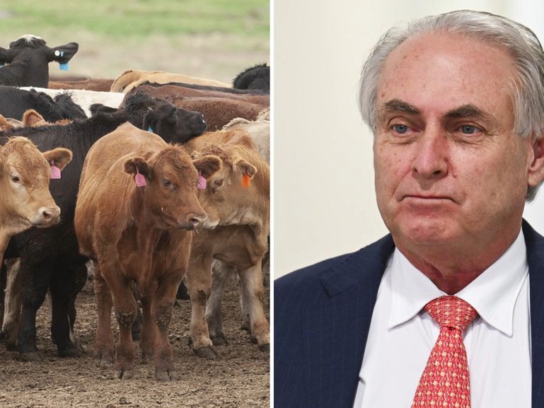 Trade Minister Don Farrell is optimistic he can secure a trade deal with the EU.