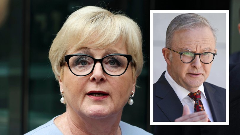 Anthony Albanese has angrily rejected former WA senator Linda Reynolds’ call for an apology over discredited claims that Brittany Higgins’ rape was the subject of a political cover-up.