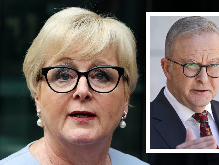 Anthony Albanese has angrily rejected former WA senator Linda Reynolds’ call for an apology over discredited claims that Brittany Higgins’ rape was the subject of a political cover-up.