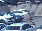 Police have revealed CCTV of a suspect after a baby was placed in a box and left in a carpark during a shopping centre car theft.