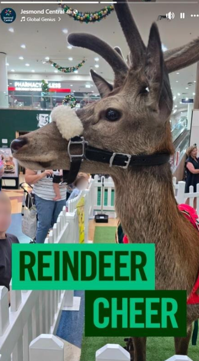 The activity was due to return in December but was later cancelled. 