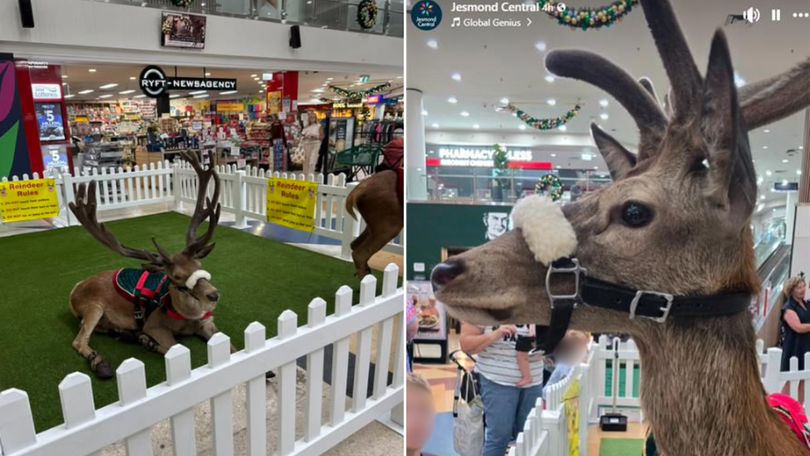 Jesmond Central’s Reindeer Cheer experience has sparked outrage among shoppers. 